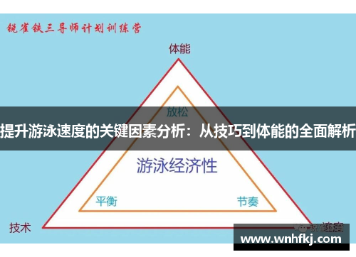 提升游泳速度的关键因素分析：从技巧到体能的全面解析